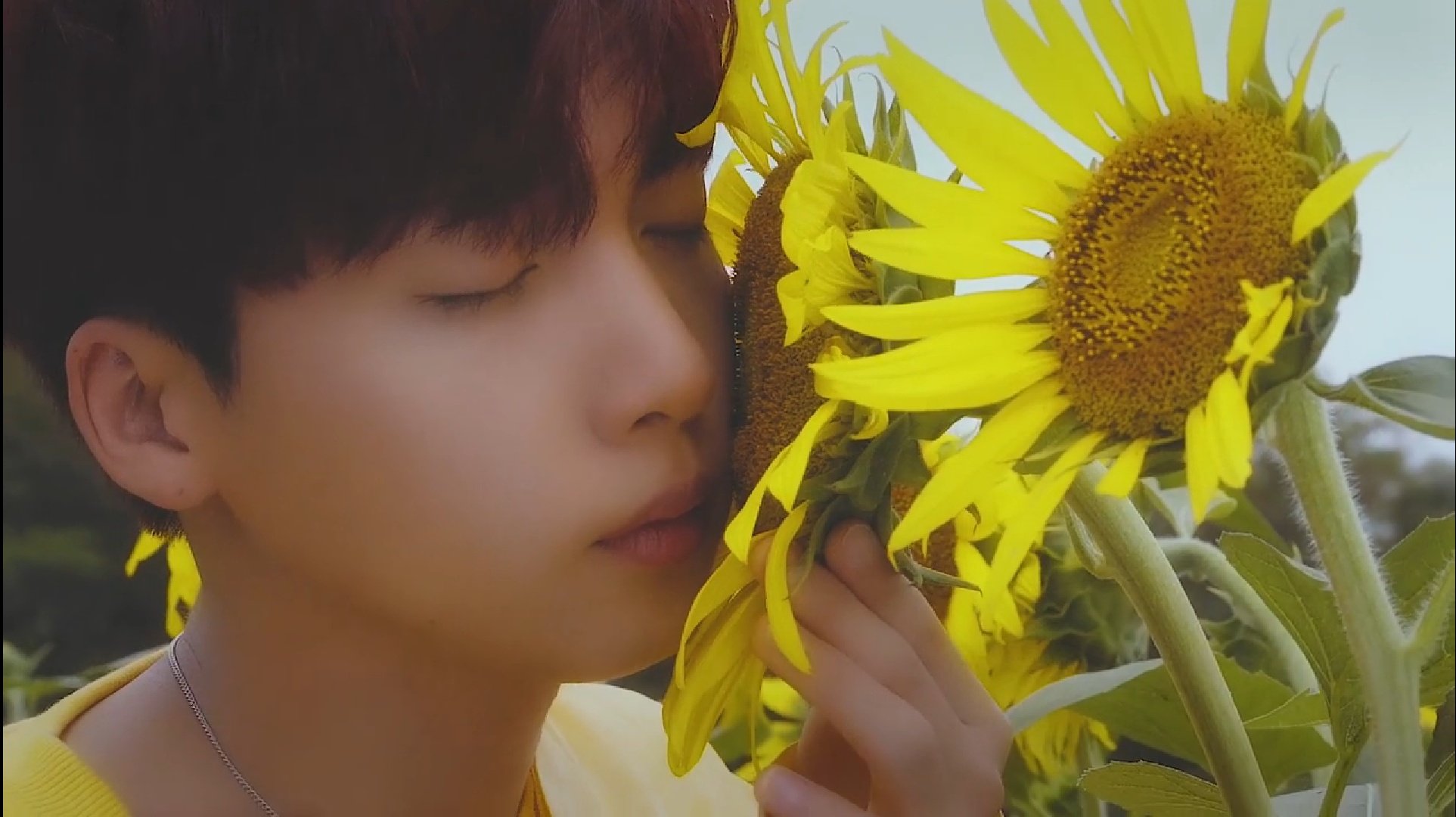 여기서 정세운이 누구야??? | 인스티즈