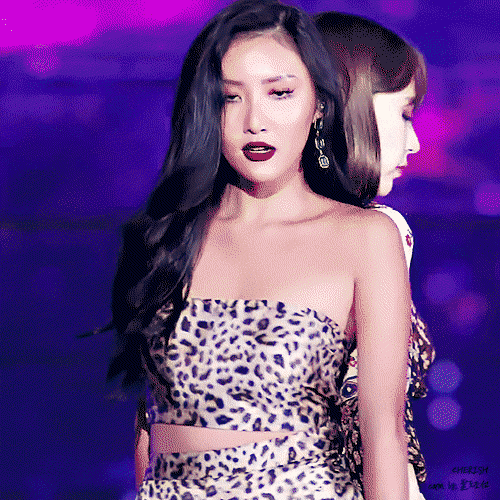 [잡담] 여돌들 뭔가 분위기 정반대인 얼굴합이 ㄹㅇ 좋다 | 인스티즈