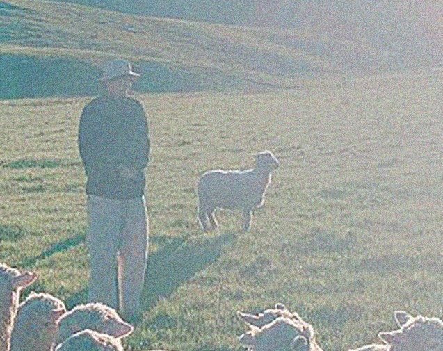 귀여운 방탄 뷔는 | 인스티즈