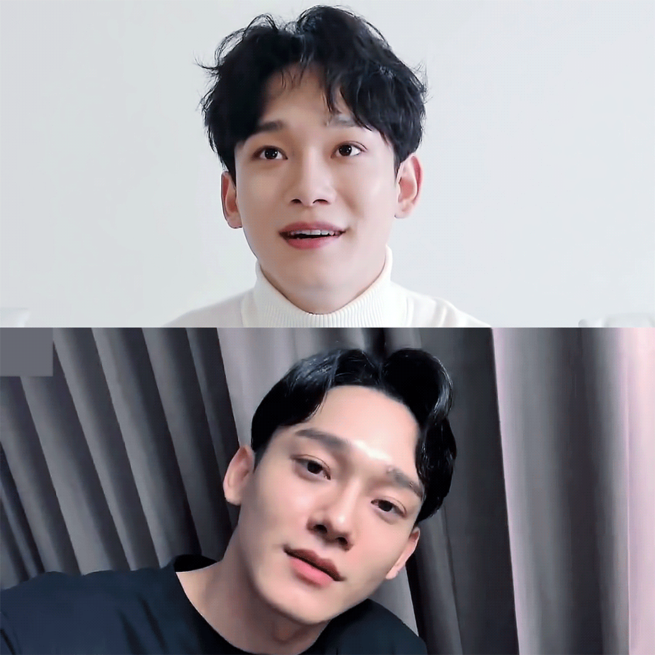 큰방 엑소엘 이쯤에서 고르고 가자 아깽체니 VS 김종대오빠 | 인스티즈