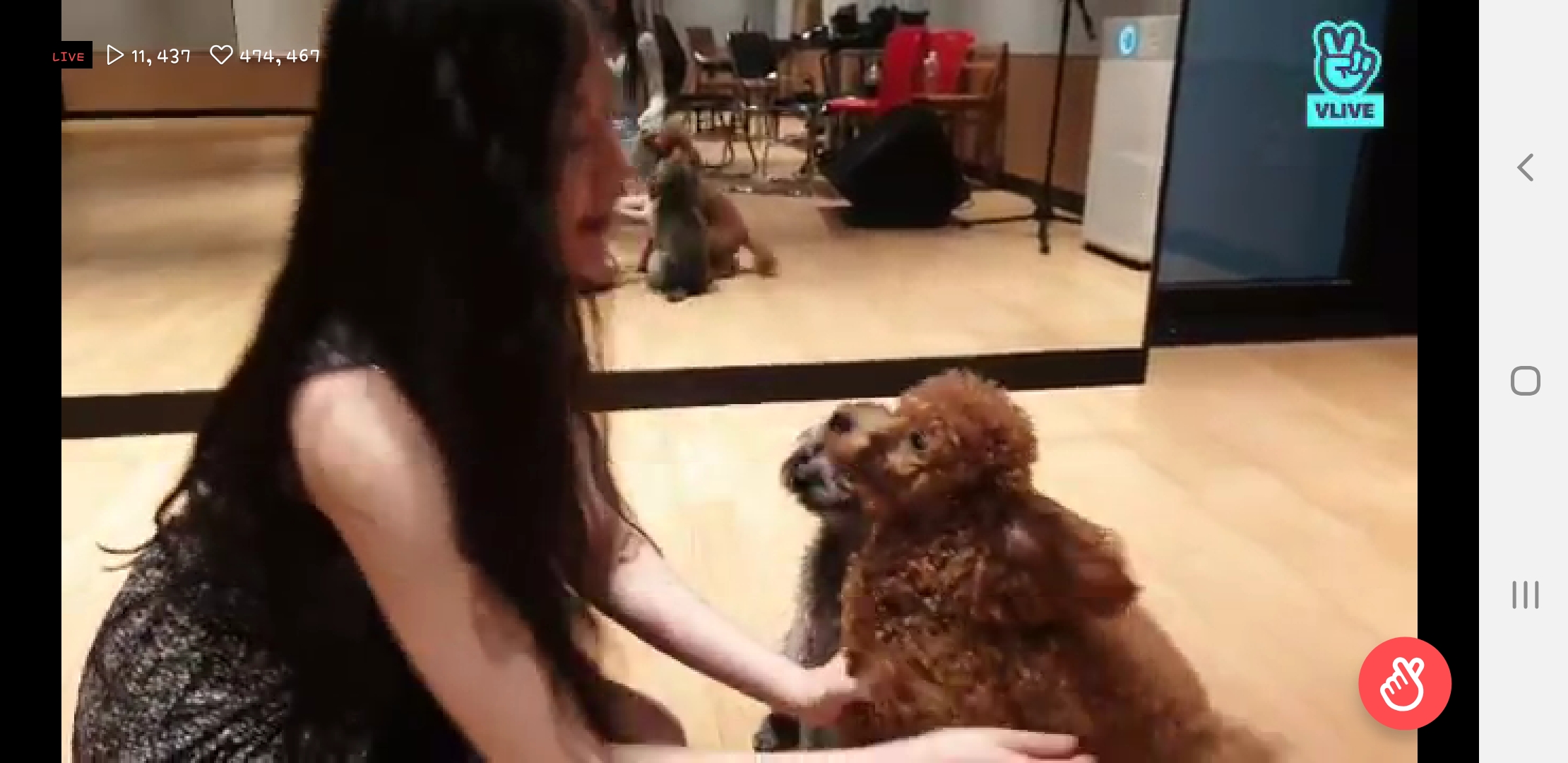 지금 아이들 브이앱에 멤버들이 10달동안 기른 강아지들 나와 | 인스티즈