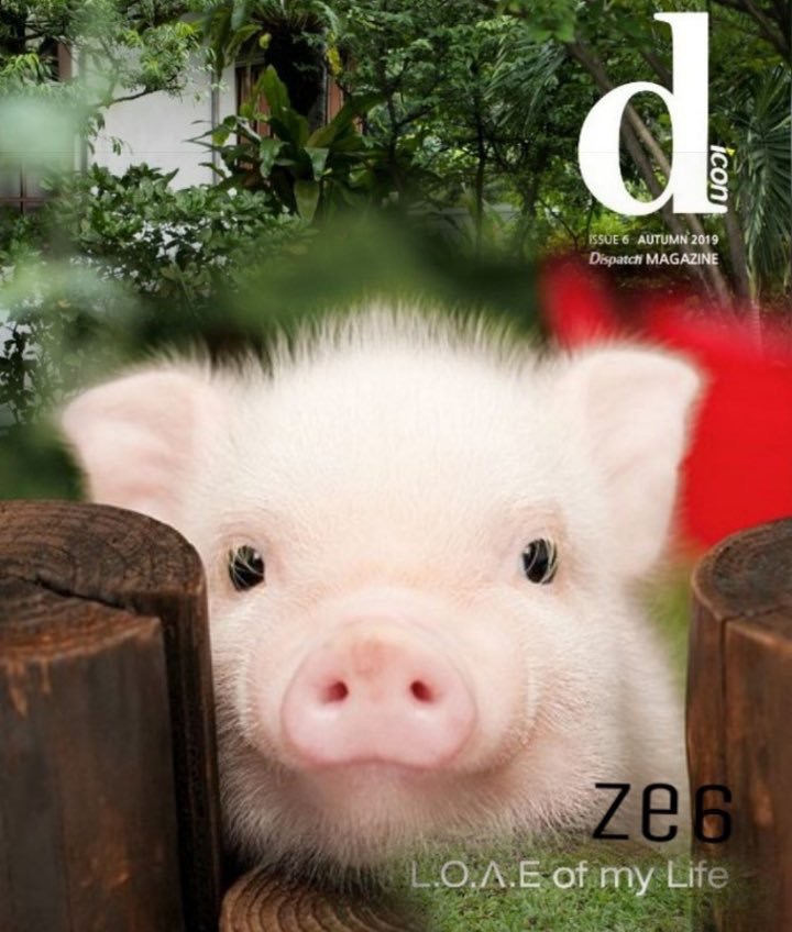 뉴이스트 팬들 배척하는거 맞음 | 인스티즈