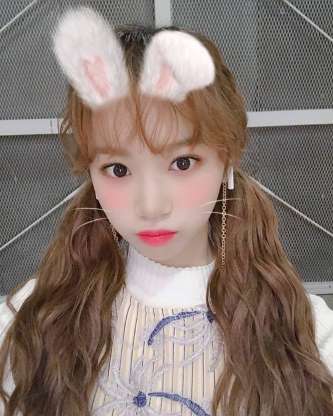 채원이는 푸들이야ㅠㅠㅠㅠㅠㅠ | 인스티즈