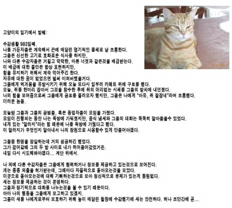 강아지와 고양이의 일기인데 본진에서 이럴거 같은 사람 써줰ㅋㅋㅋ | 인스티즈