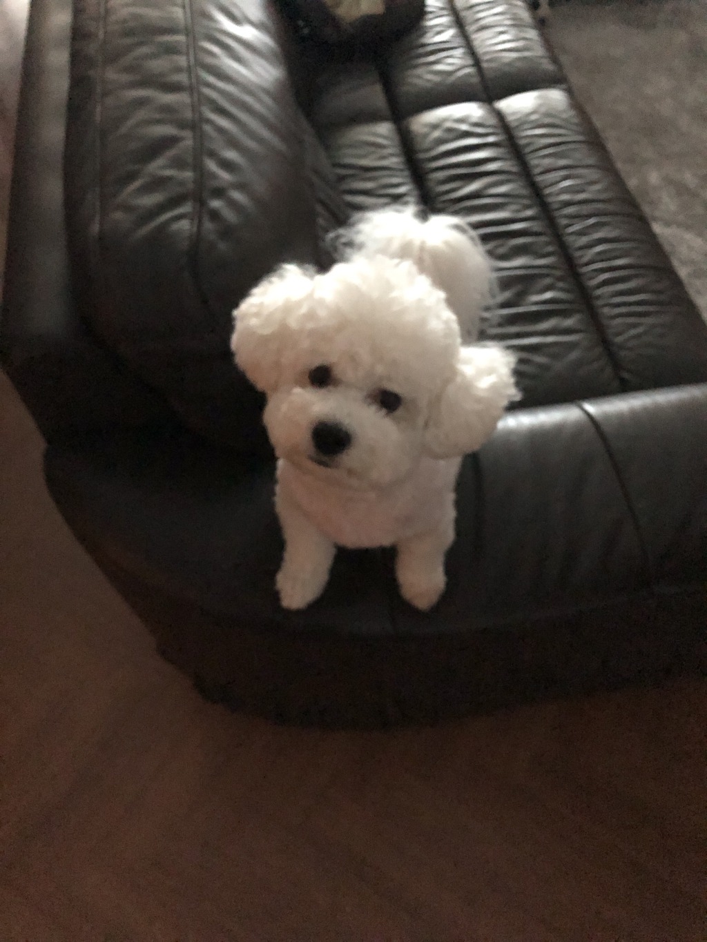 고독방에 사진 12장이나 풀고간 오세훈,,, | 인스티즈