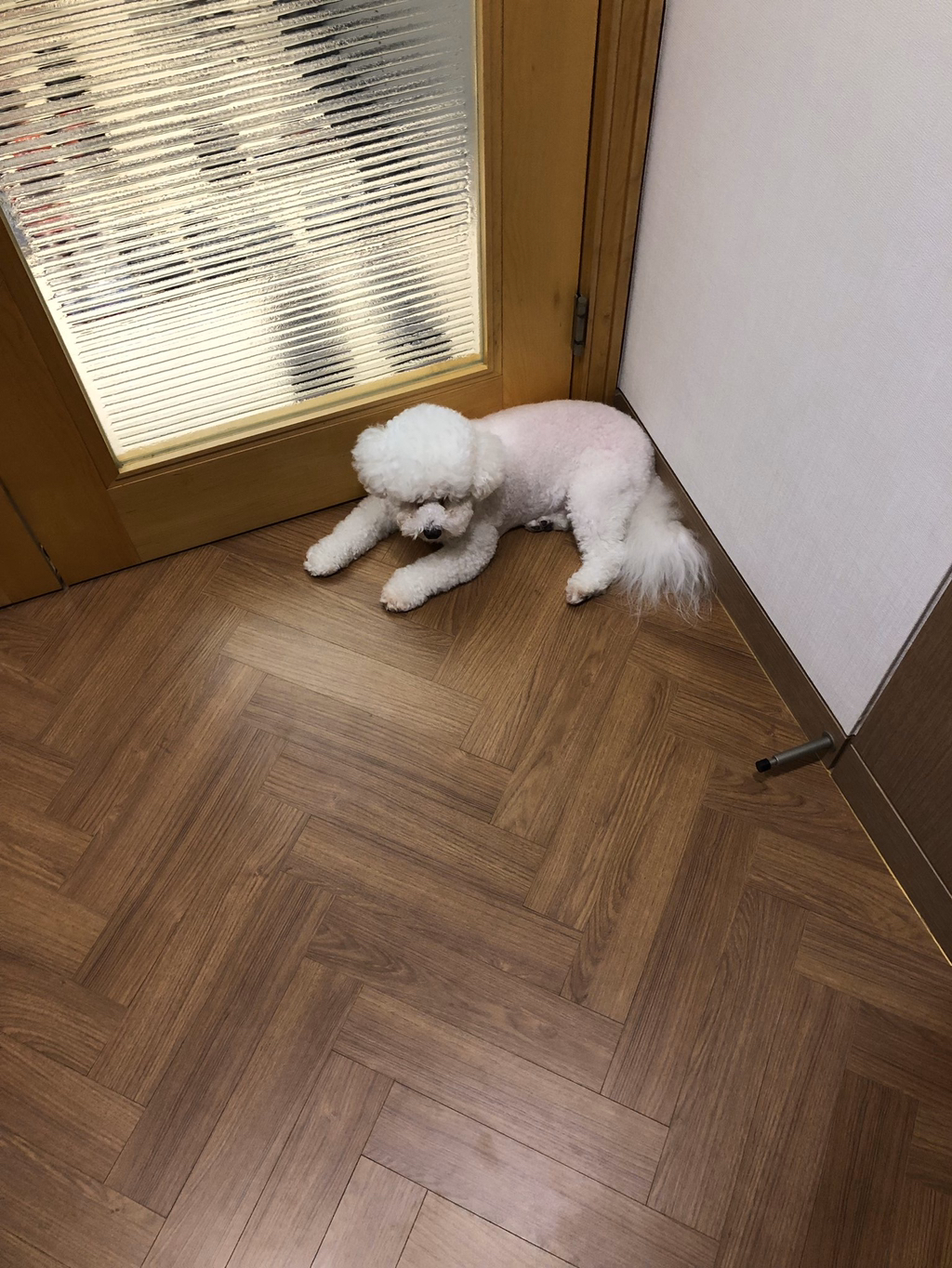 고독방에 사진 12장이나 풀고간 오세훈,,, | 인스티즈