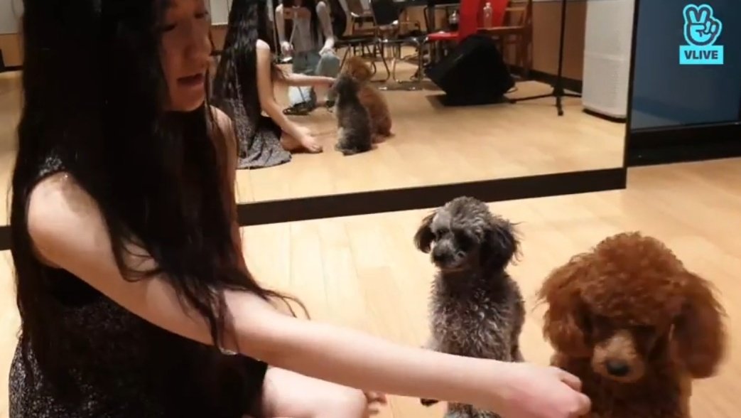 아이들 숙소에서 키우는 반려견 확대한거봐 ㅋㅋ | 인스티즈