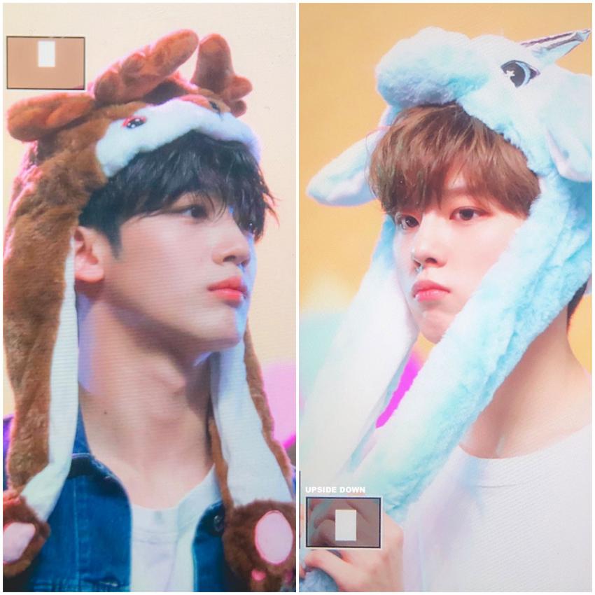 김우석 김요한 저녁 맛있게 먹었냐 잘 먹었으면 이제 잠푹자 | 인스티즈