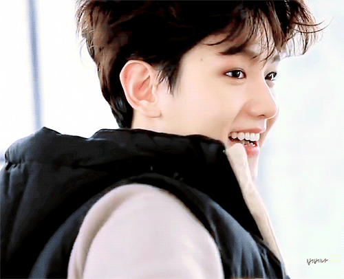 내년 봄에 백현 2집 (정규1집일수도) 나온다... | 인스티즈