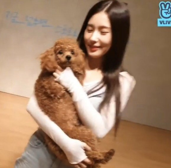 아이들 숙소에서 키우는 반려견 확대한거봐 ㅋㅋ | 인스티즈