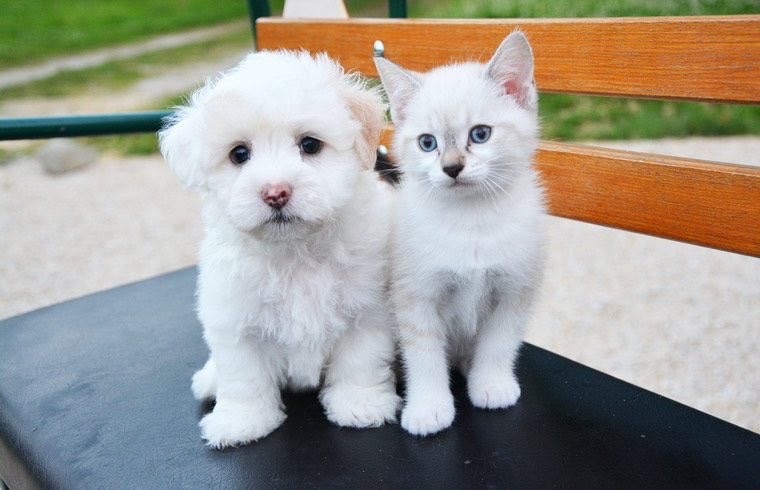 ?????이거 백현이랑 마크 아니야????? | 인스티즈