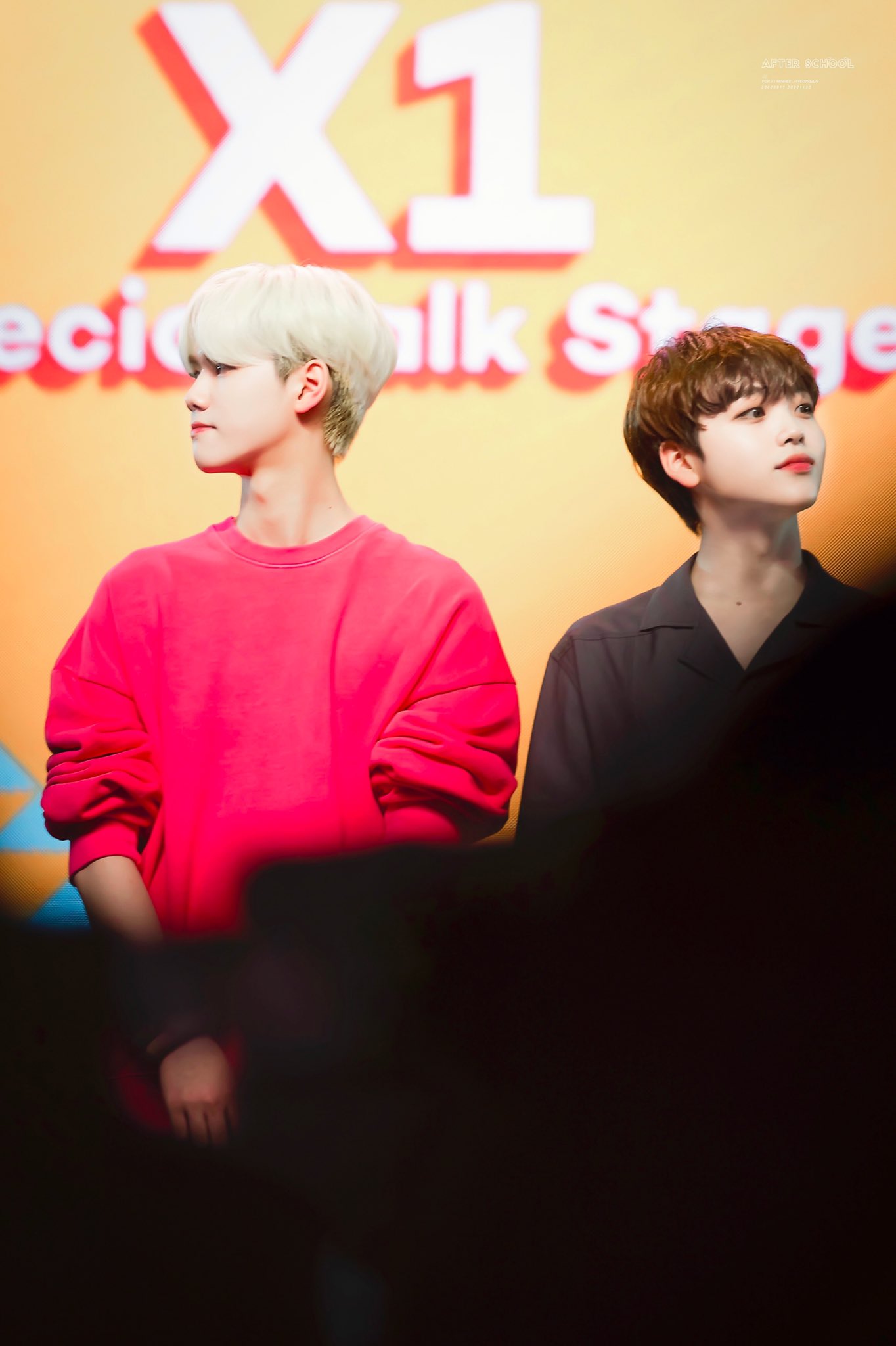 우리 강쥐즈 행복하자 | 인스티즈