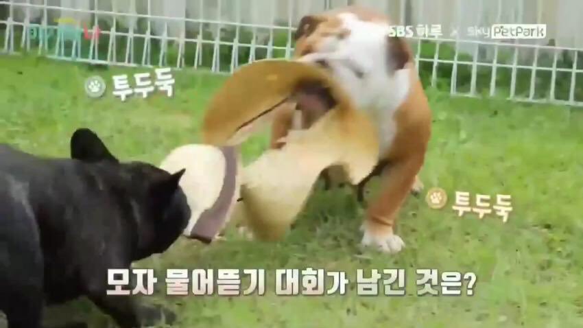 ㅏㅇ 지금 이 짤 보고 너무 웃겨서 토할거같음ㅋㅋㅋㅋㅋㅋㅋㅋㅋ | 인스티즈