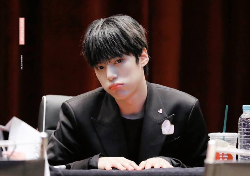 울 강아지.... 인가 엠씨... | 인스티즈