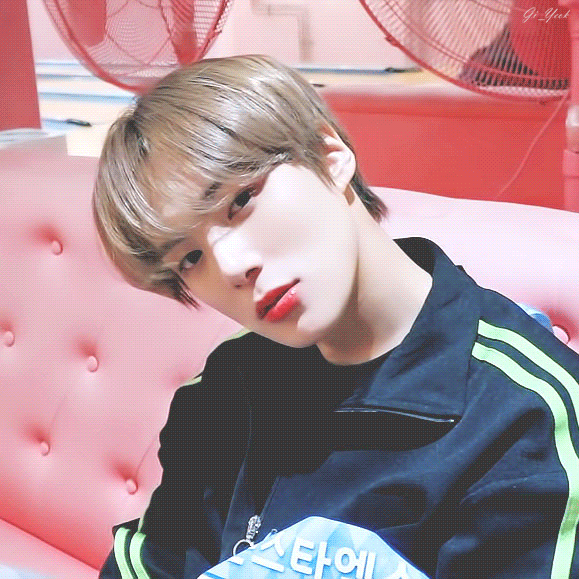 울 강아지.... 인가 엠씨... | 인스티즈