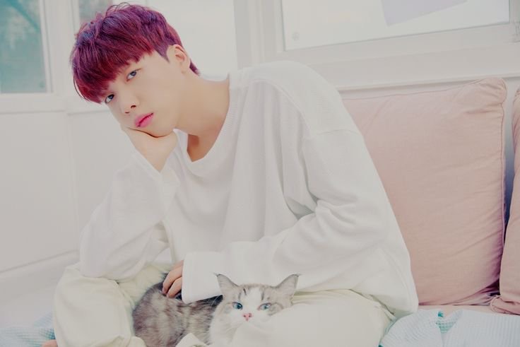 아직 정세운 노래 못 들어보신분있나여?!!! | 인스티즈