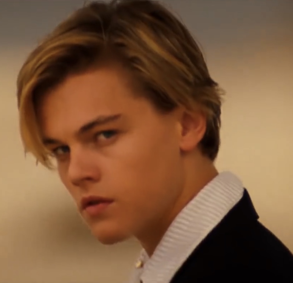 디카프리오 이 사진 진짜 버논 같아........ | 인스티즈