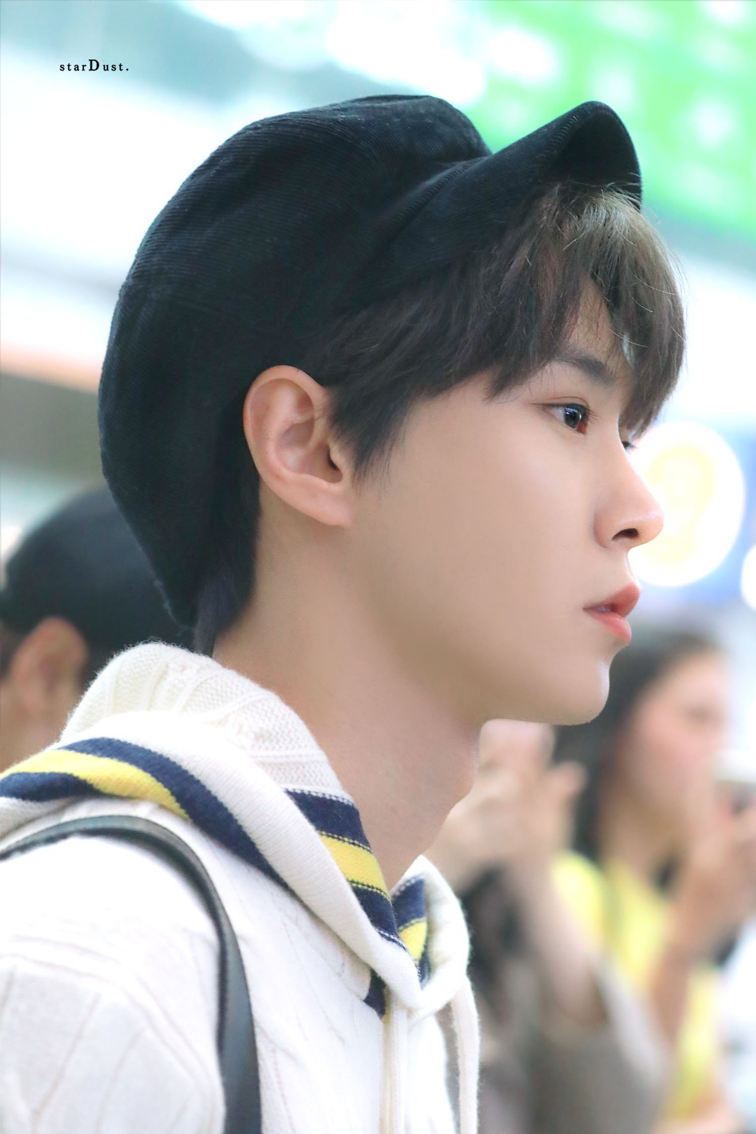 현생에 치여서 거의 한달만에 떡밥줍는데 도영아..... | 인스티즈