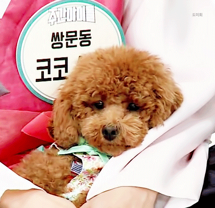 와 배척진짜 ㅋㅋㅋㅋㅋㅋㅋㅋㅋㅋㅋㅋㅋ | 인스티즈