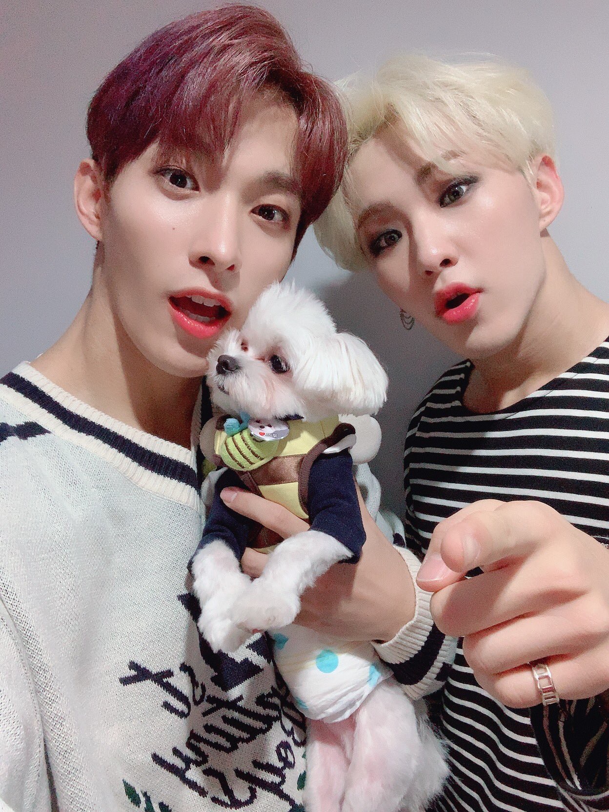 세븐틴 부석순 컴백해.. | 인스티즈