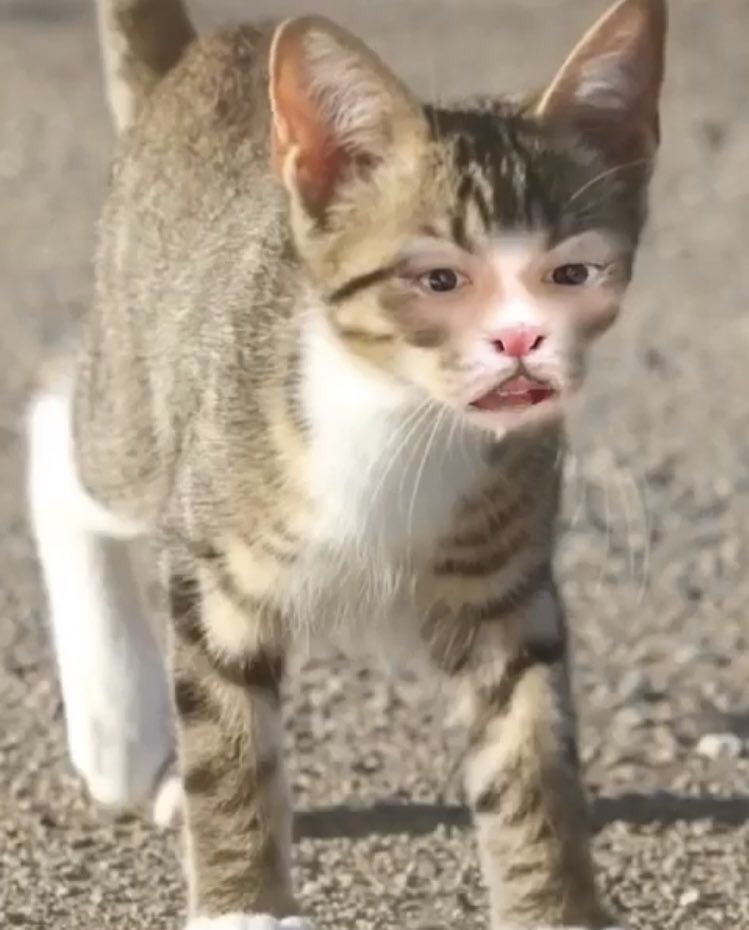 더이상 참을 수 없어🤦‍♀️당장 이리노 핸드폰에서 스노우 삭제해😭 | 인스티즈