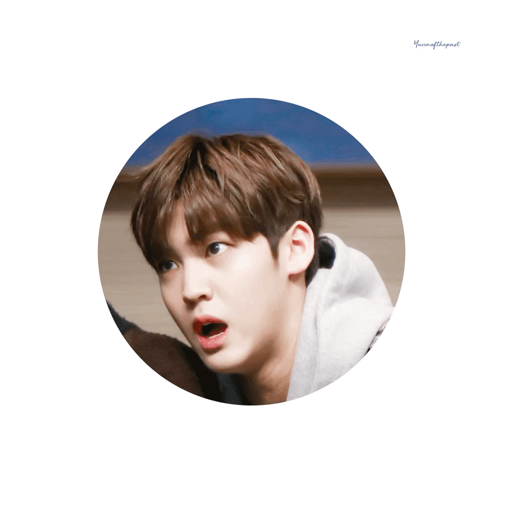 송유빈 이 복실말랑댕댕이를 어쩌지 | 인스티즈