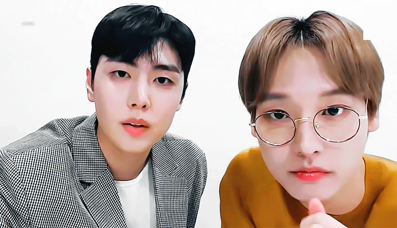 세상 참 좋아졌다 아기백구랑 아기고양이 둘이서 브이앱도 하고 | 인스티즈