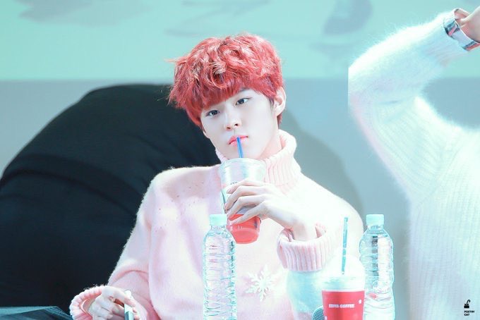 핑크 뽀시래기 김우석 너무 유해함 | 인스티즈