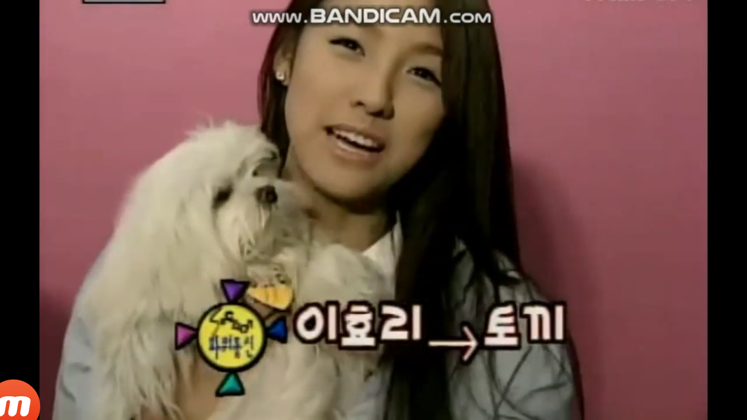 데뷔 초 이효리가 팬카페에 쓴 글.jpg | 인스티즈