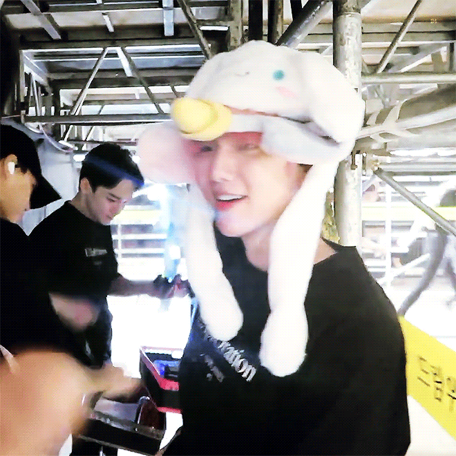 큰방에 덤보 심기 | 인스티즈