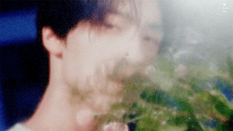 그래 뭐가 이상하긴 했지 그치 숙소도 한국이고 샵도 한국이고 연습도 한국이고 | 인스티즈