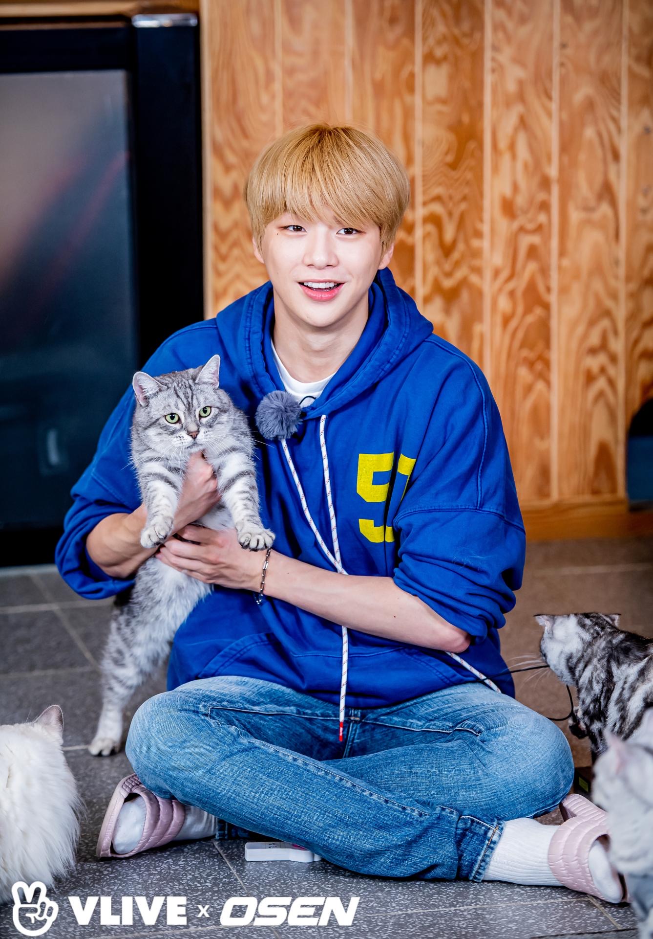 ㅠㅠㅠㅠ강다니엘 스타로드 뉴짤 아으아어아걱 | 인스티즈