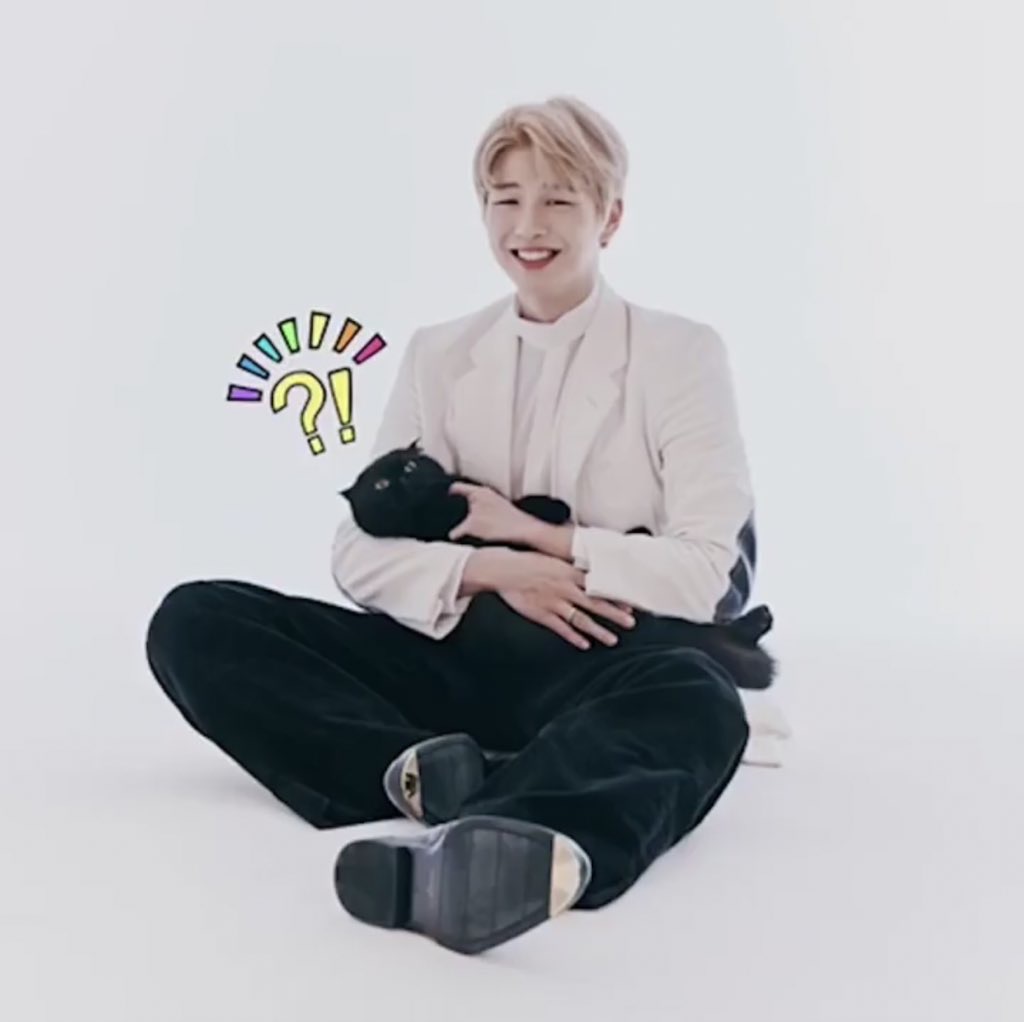 강다니엘 고양이 안을때 | 인스티즈