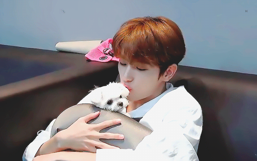 더보이즈 팬이라면 누구나 부러워하는 | 인스티즈