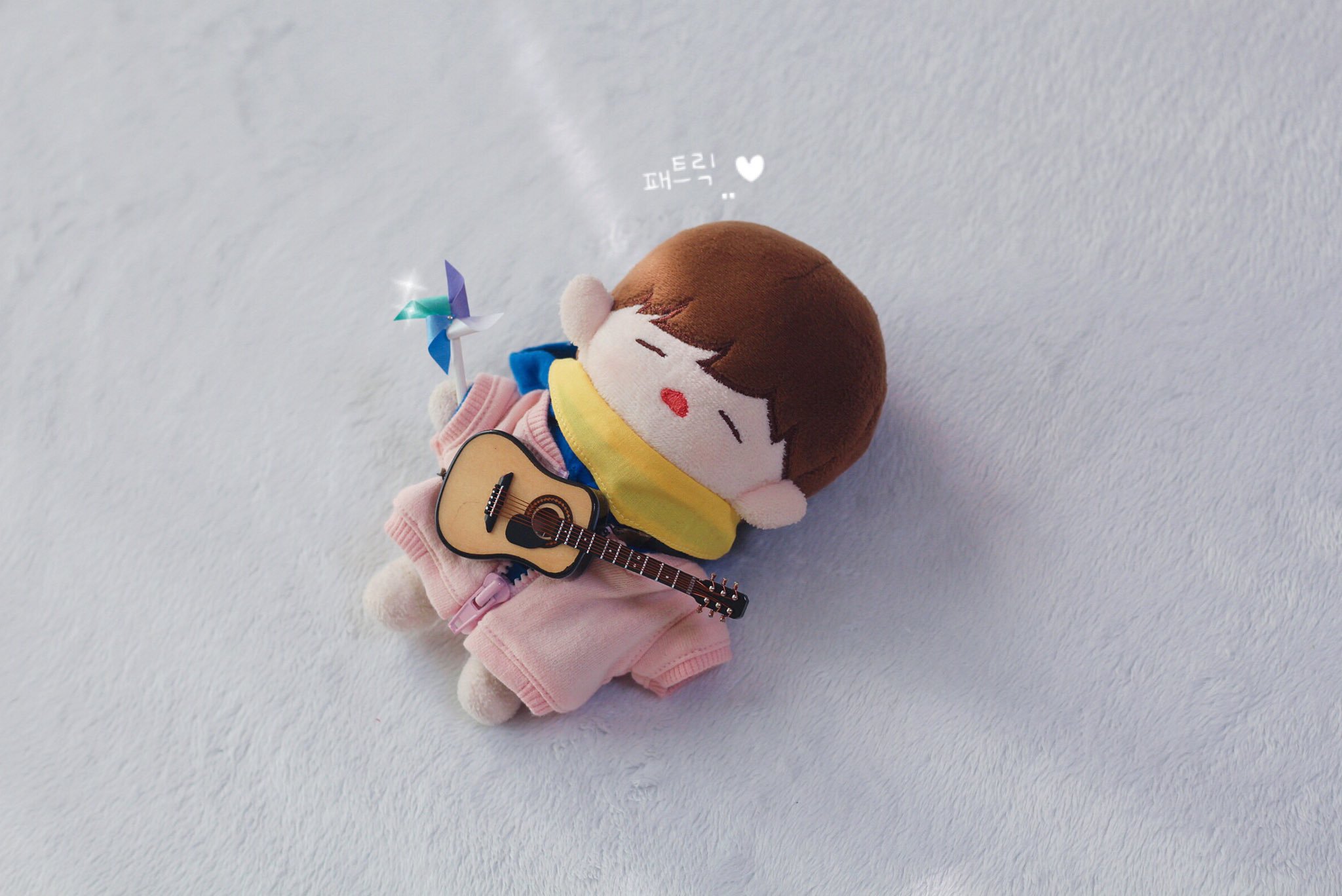 큰방에 내돌 솜뭉치 심기❣️ | 인스티즈