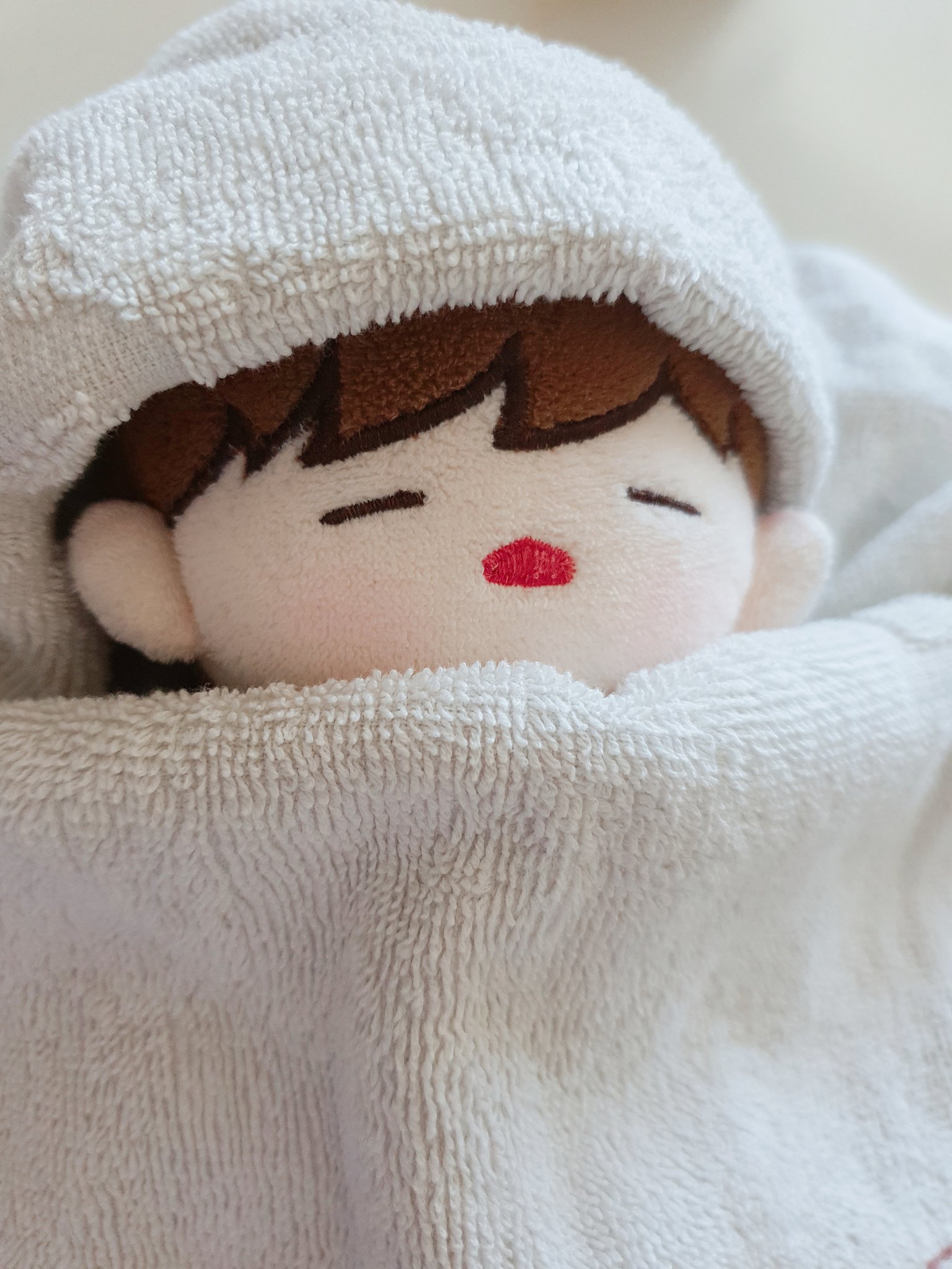 큰방에 내돌 솜뭉치 심기❣️ | 인스티즈