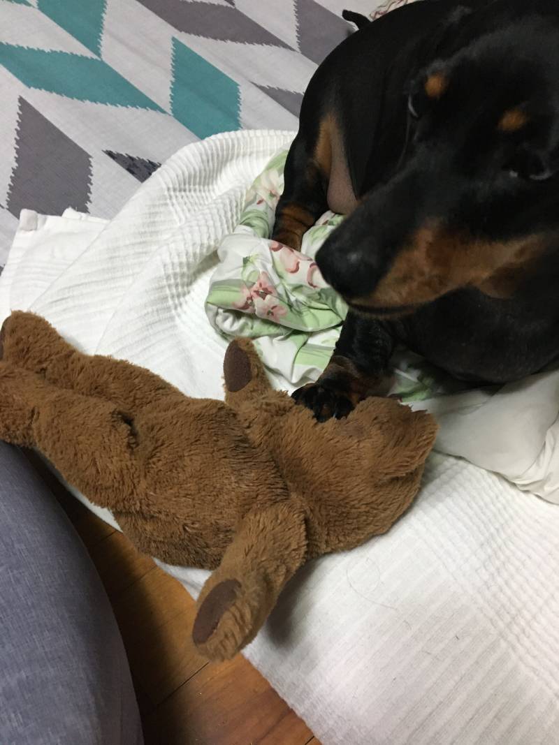 곰돌이 : 살..려줘.. | 인스티즈