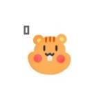 오 다람쥐 생김 | 인스티즈