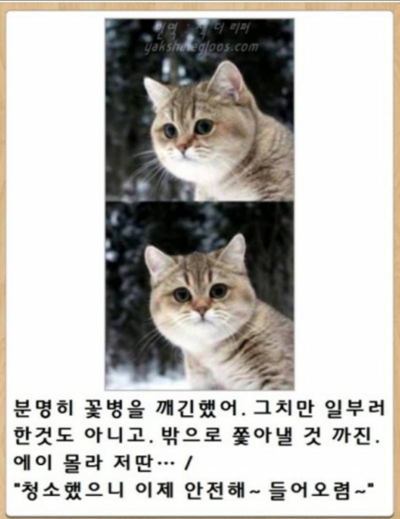 아 이거 귀엽고 감동적이다ㅋㄱㅋㄱ | 인스티즈