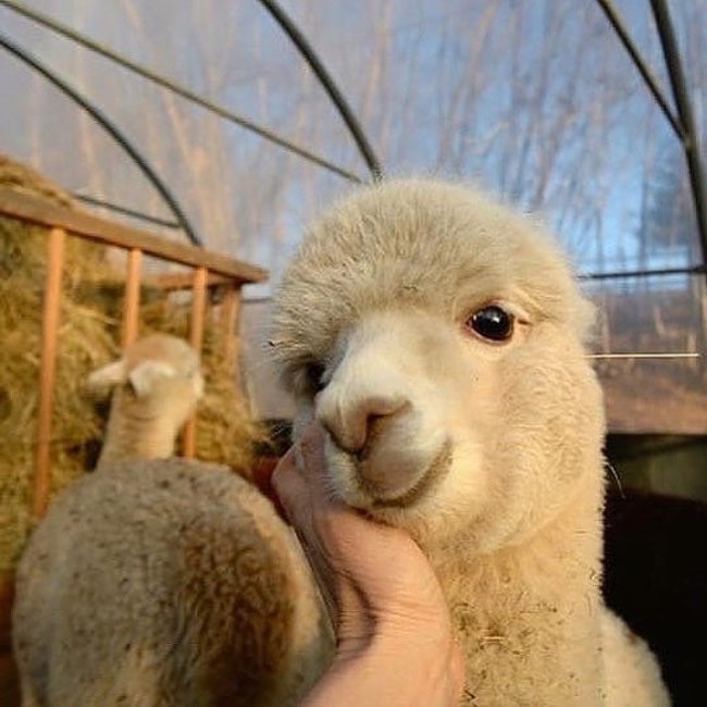 이거 임영민 같아 | 인스티즈