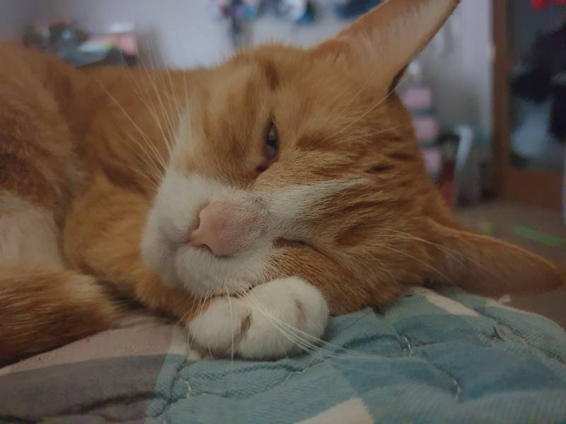 우리 애기 자기 손? 다리? 베고 자는거 봐ㅠ | 인스티즈