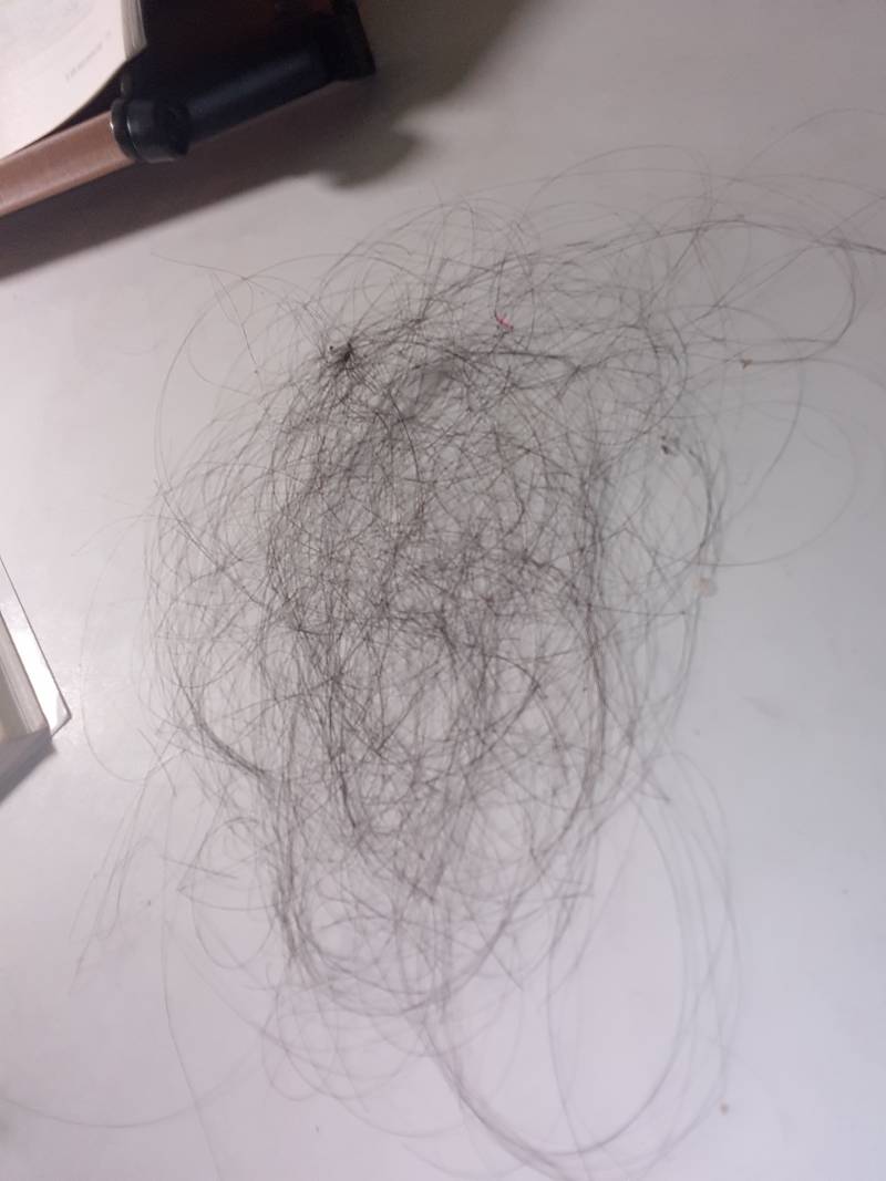 대박 머리 빗었는데 머리카락 엄청 뽑힘 (ㅎㅇㅈㅇ?) | 인스티즈