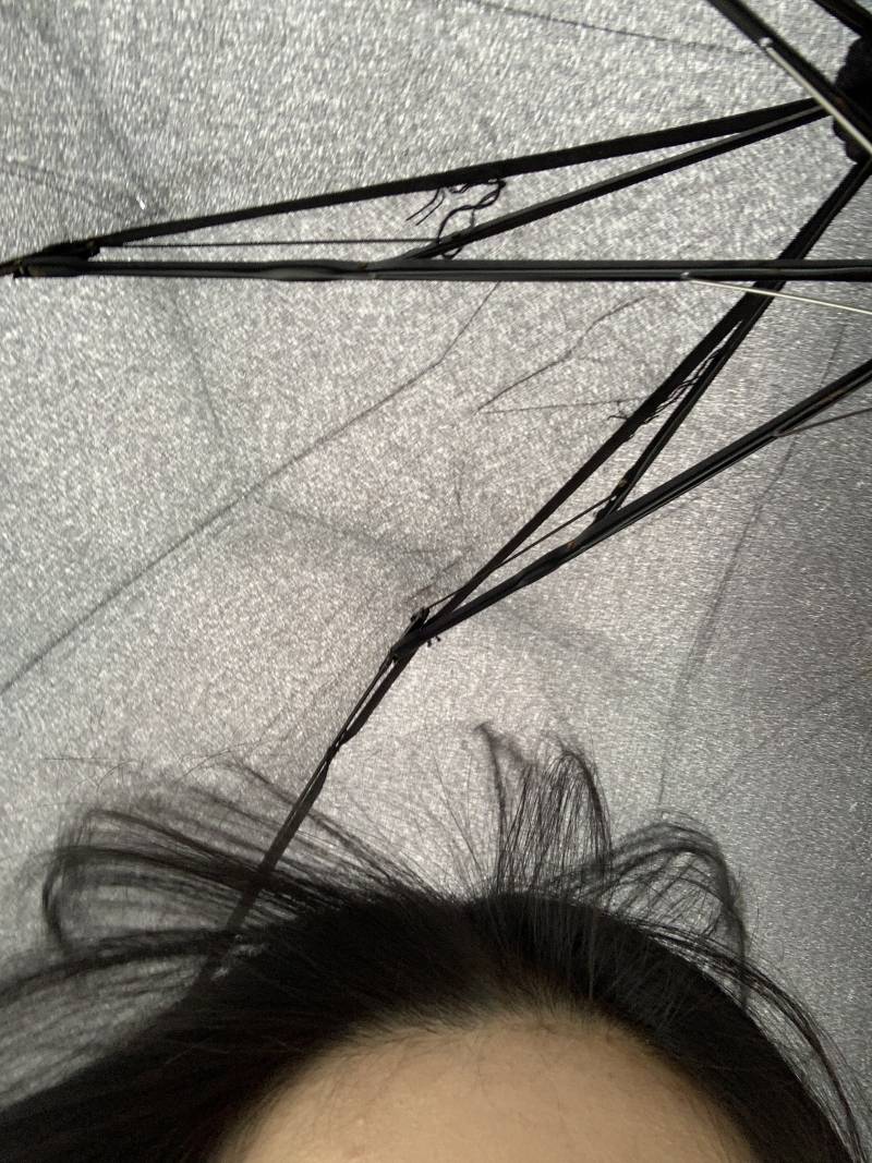 바람 🐶새.... | 인스티즈