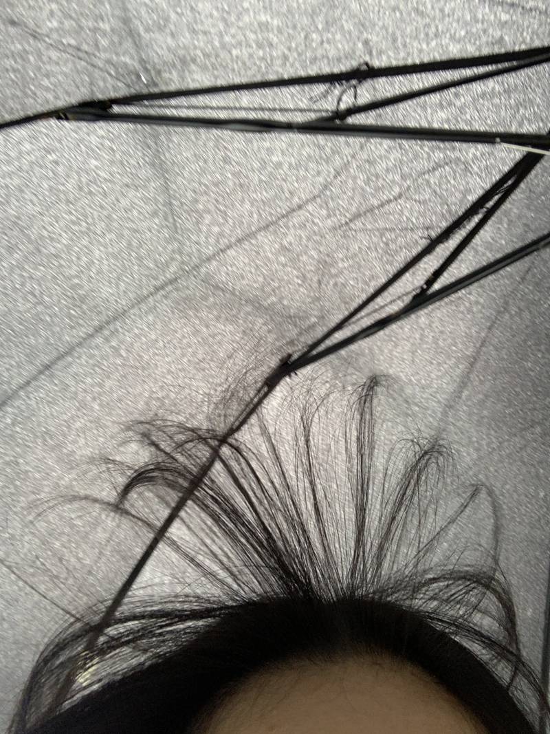 바람 🐶새.... | 인스티즈