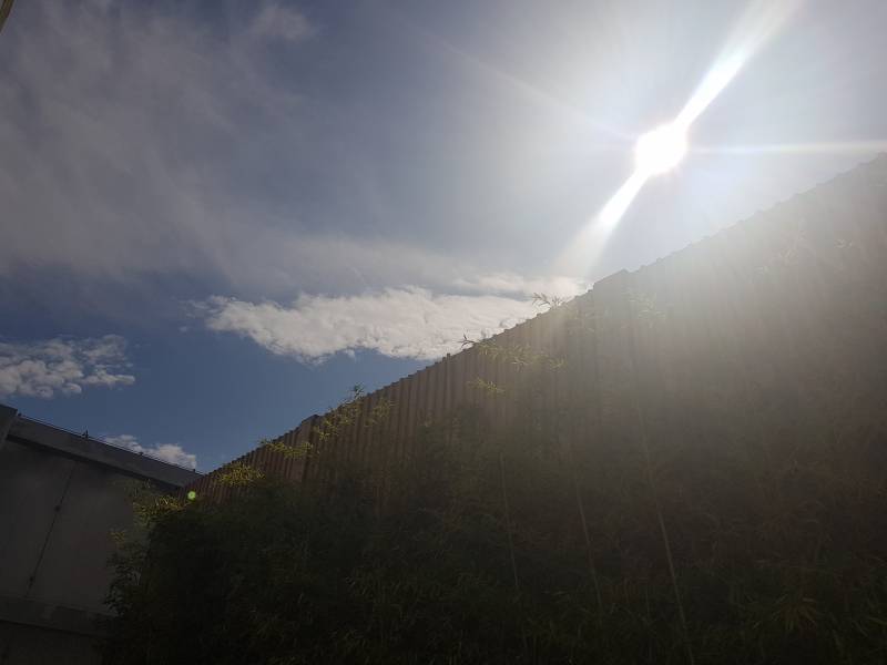 오늘 날씨 너무 좋다.. 따뜻한 가을 날씨 | 인스티즈