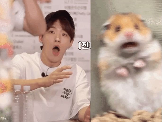 나는 호시 갭차이가 너무 좋아 ㅋㅋㅋ | 인스티즈