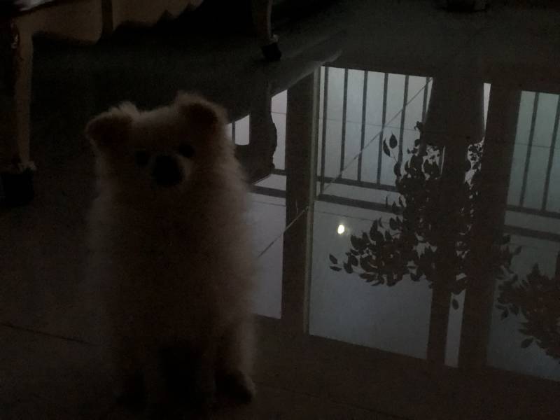 익들아 낭만에 취하고싶으면 들어와서 이거 봐ㅠㅠ 40 | 인스티즈