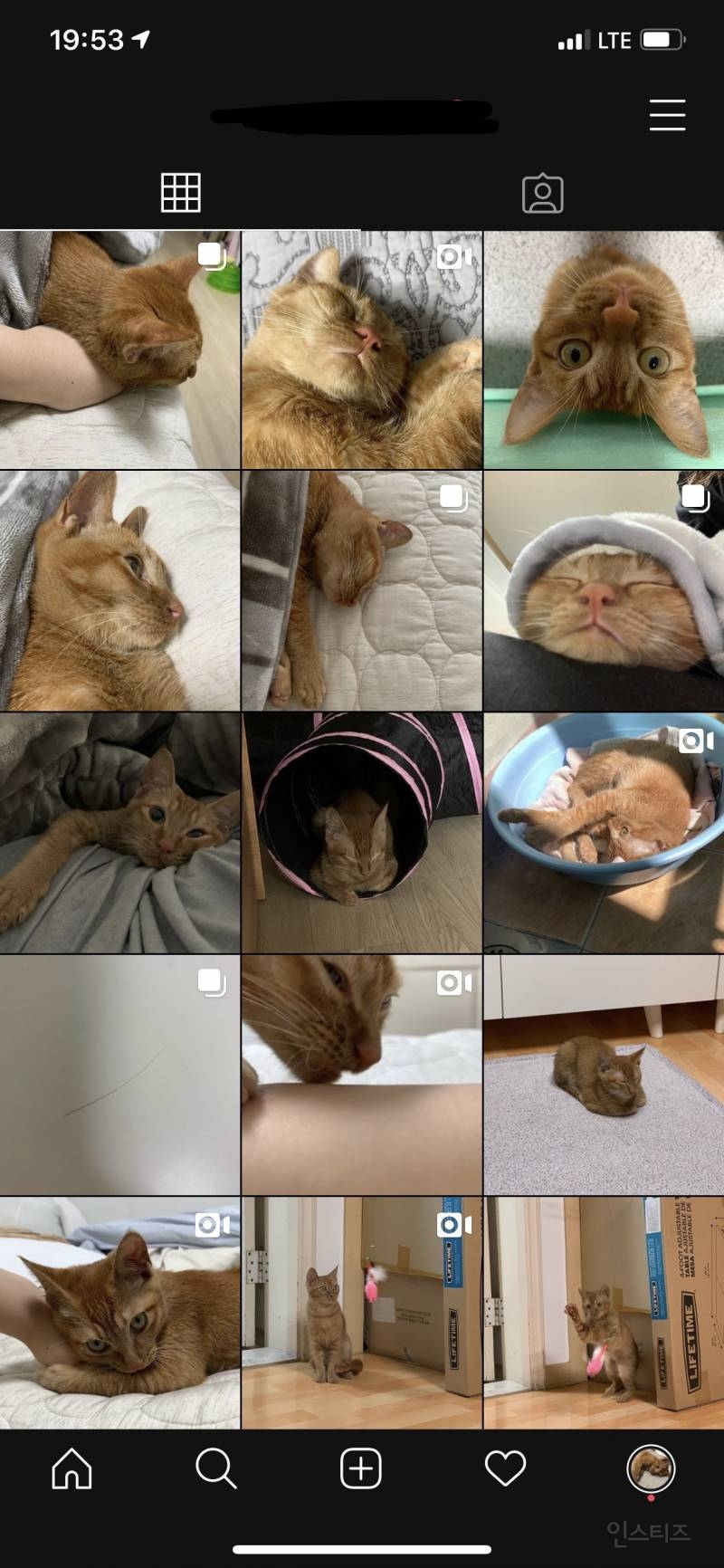 헐 우아 인스타 깜장색이다 4040 | 인스티즈