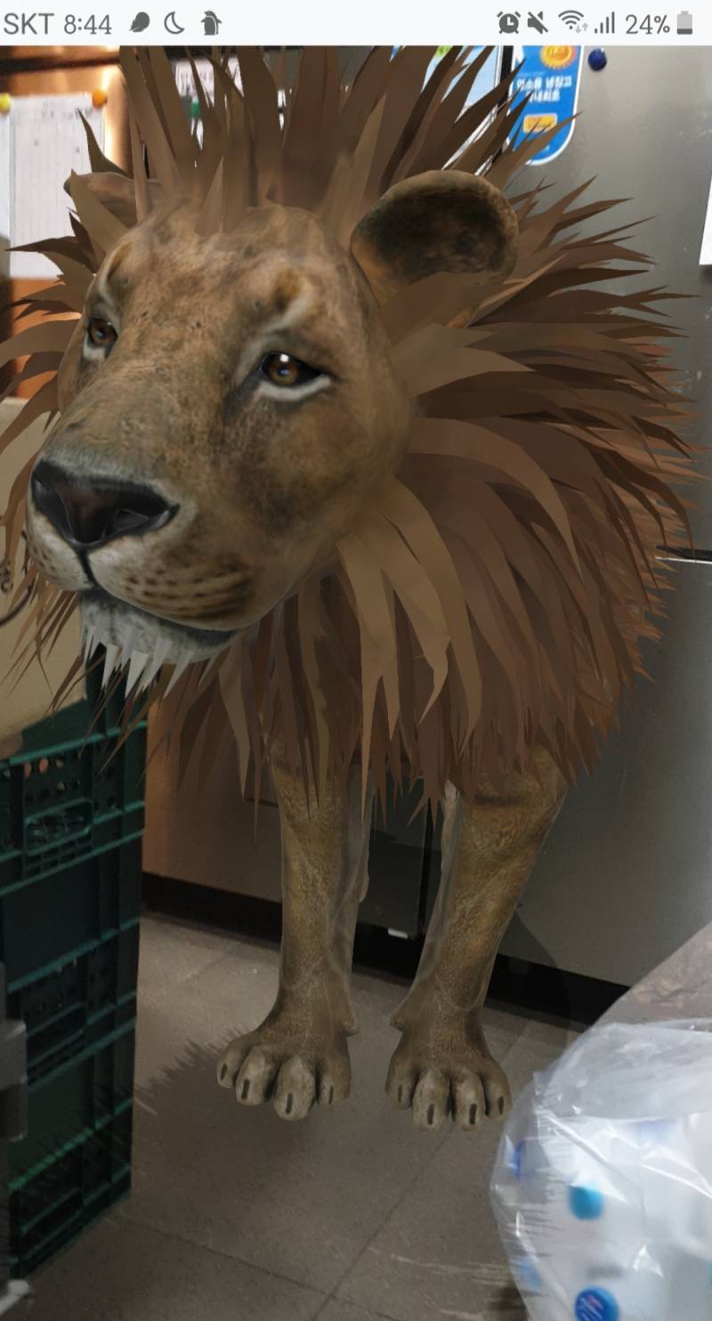 꺄악 사자가 나타났다!!! | 인스티즈