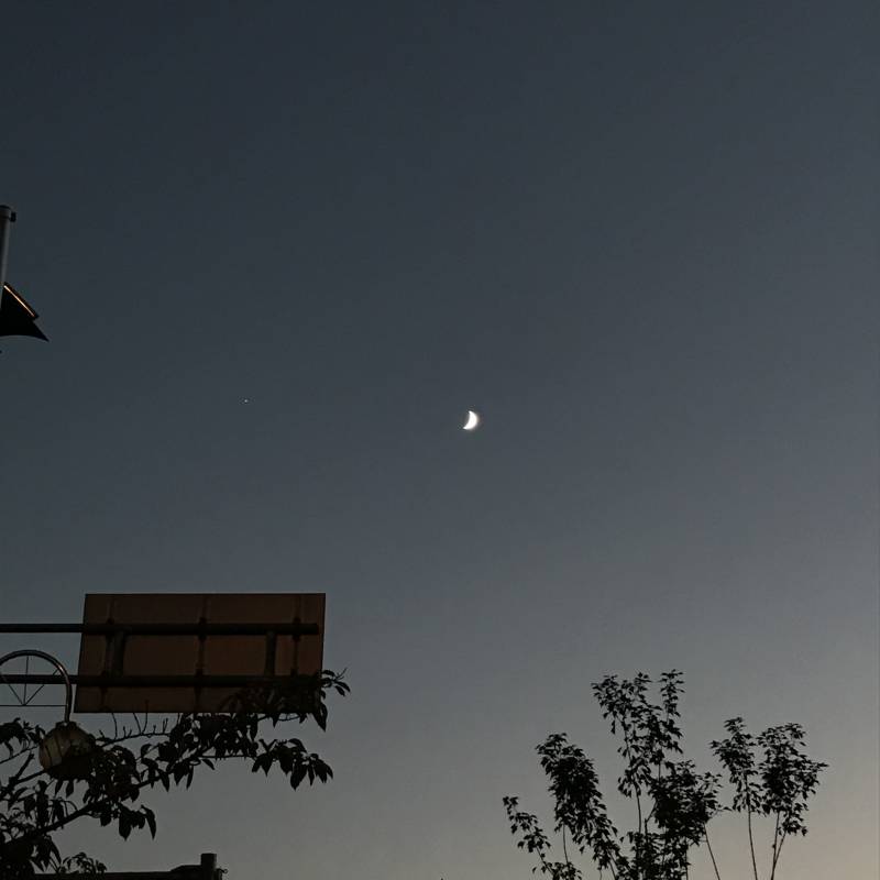 이거 프사할까말까...솔직하게ㅠㅠ | 인스티즈